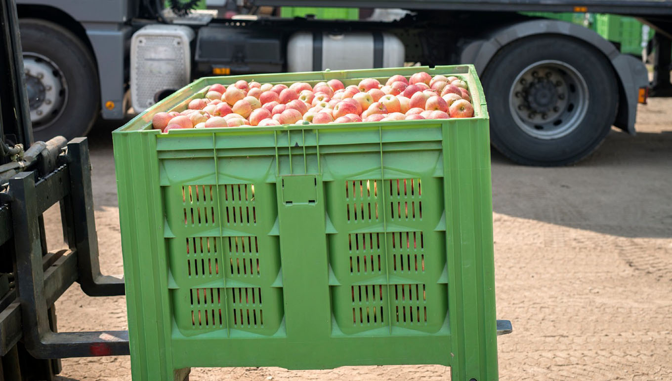 apples in crate