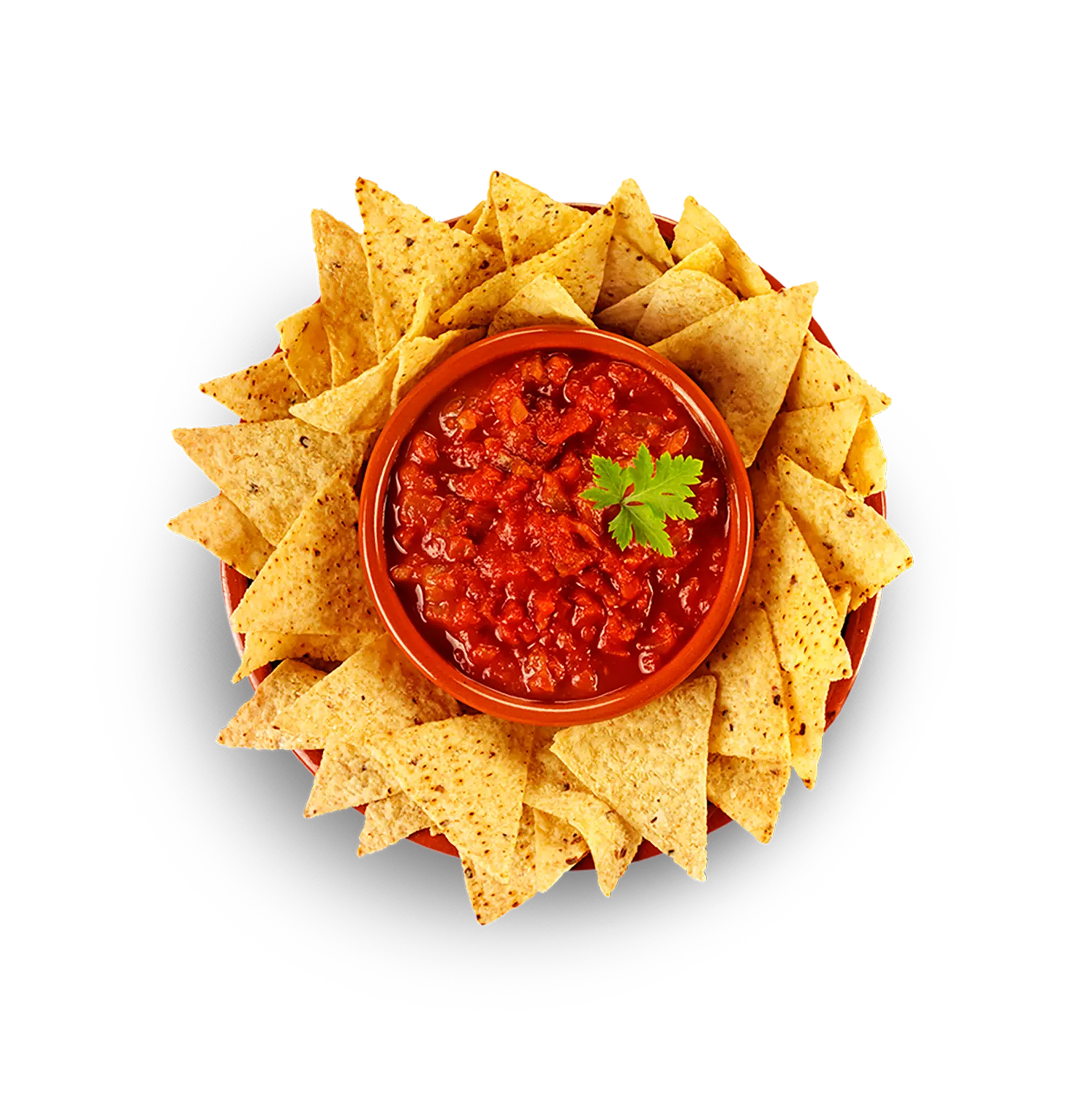 Bowl of salsa surrounded by tortilla chips.