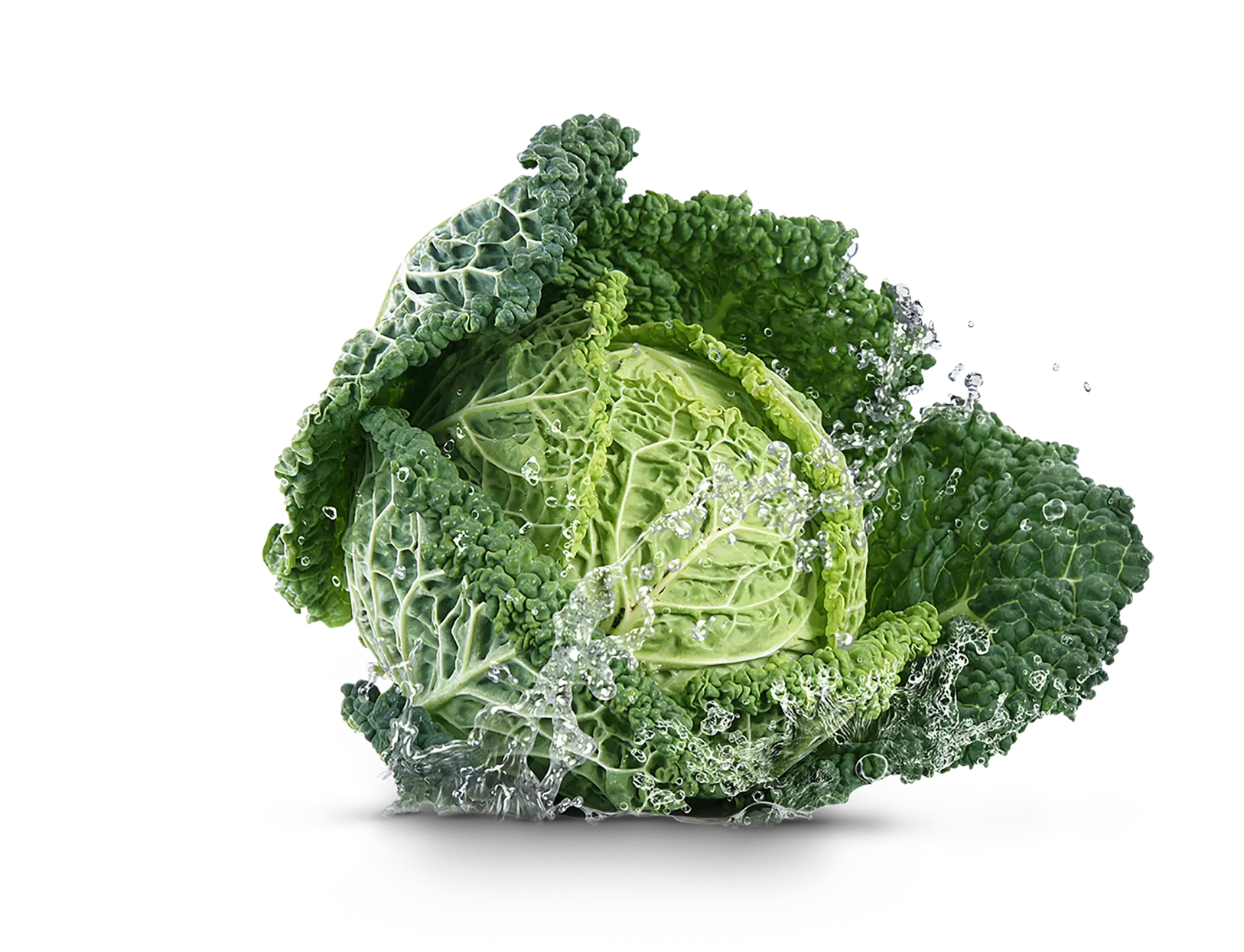 Lettuce head