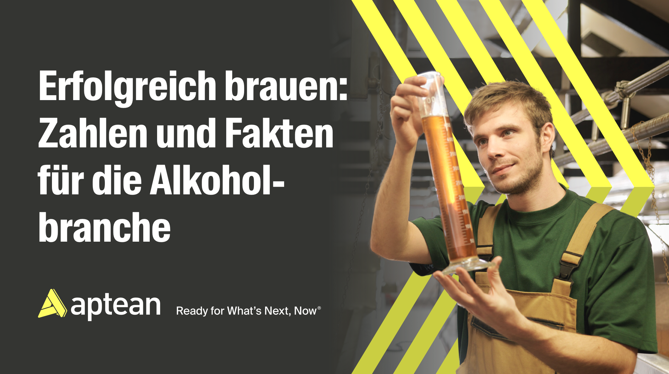 Brewing Success: Alcoholic Beverages Industry Insights