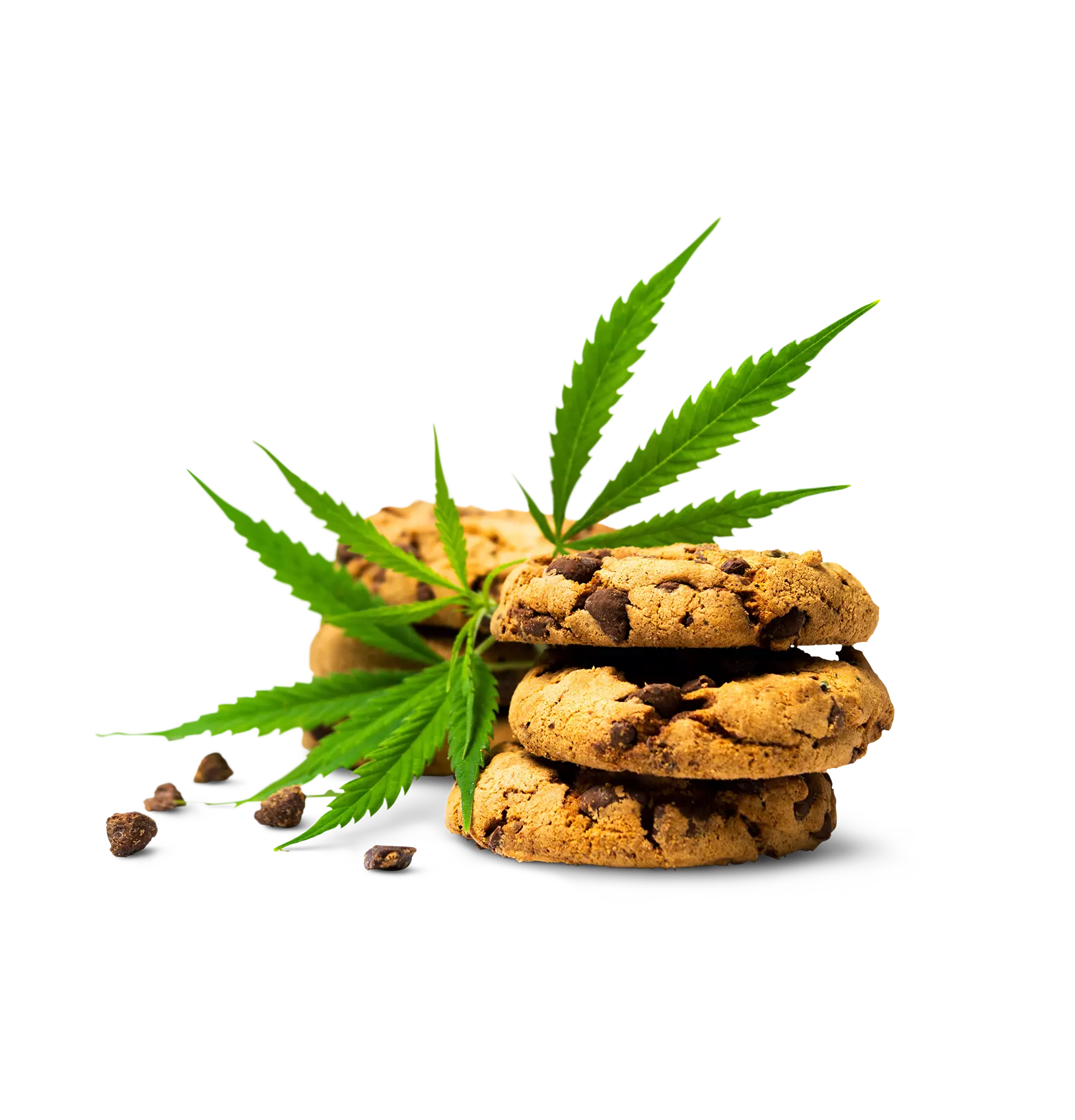 Cannabis cookie