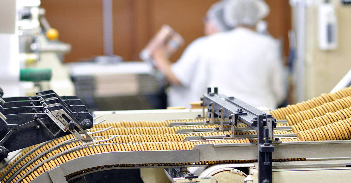 Cookies on conveyor belt