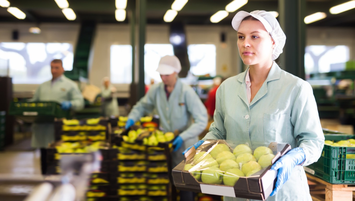 A food facility worker carries a box of fresh fruit.