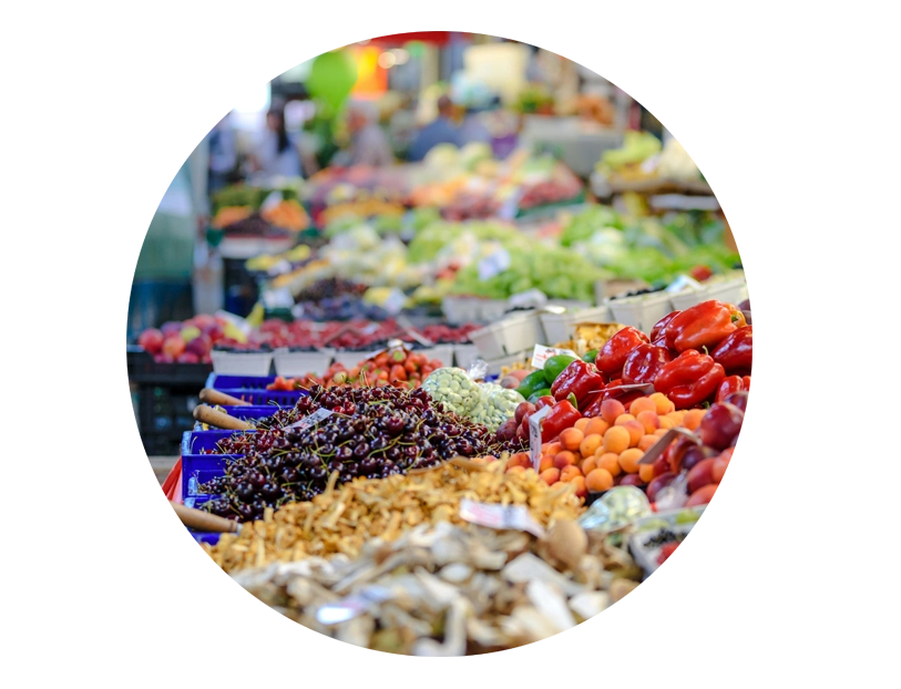 Food Traceablity Circle